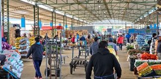 7 de cada 10 hogares chilenos compran en ferias, mientras la reposición cotidiana gana terreno en los mayoristas 7 de cada 10 hogares chilenos compran en ferias, mientras la reposición cotidiana gana terreno en los mayoristas