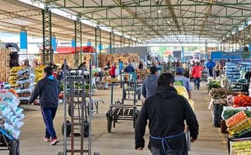 7 de cada 10 hogares chilenos compran en ferias, mientras la reposición cotidiana gana terreno en los mayoristas