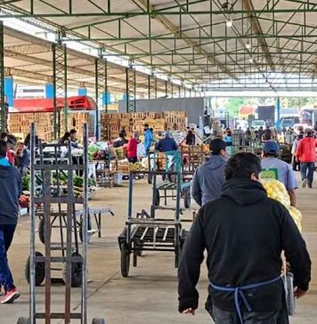 7 de cada 10 hogares chilenos compran en ferias, mientras la reposición cotidiana gana terreno en los mayoristas 7 de cada 10 hogares chilenos compran en ferias, mientras la reposición cotidiana gana terreno en los mayoristas