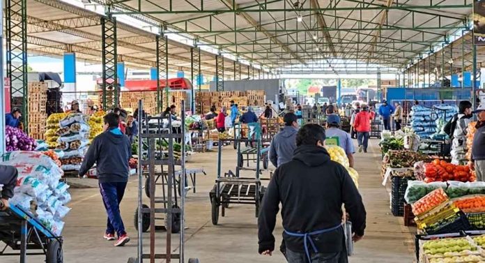 7 de cada 10 hogares chilenos compran en ferias, mientras la reposición cotidiana gana terreno en los mayoristas