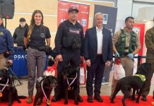 Aeropuerto Santiago de Chile y  DGAC organizan festival canino para reconocer a las brigadas que resguardan la seguridad de los viajeros