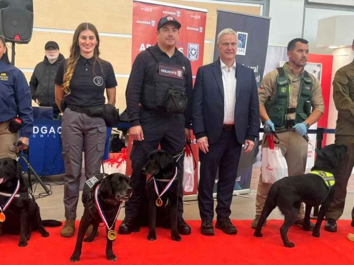 Aeropuerto Santiago de Chile y  DGAC organizan festival canino para reconocer a las brigadas que resguardan la seguridad de los viajeros