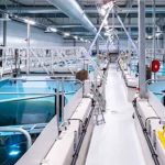 Alemania | Acuicultura de recirculación: la tecnología que busca abrir nuevas oportunidades para producir peces, camarones y algas Inhouse Farming – Feed & Food Show 2026