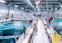 Alemania | Acuicultura de recirculación: la tecnología que busca abrir nuevas oportunidades para producir peces, camarones y algas Inhouse Farming – Feed & Food Show 2026