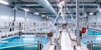 Alemania | Acuicultura de recirculación: la tecnología que busca abrir nuevas oportunidades para producir peces, camarones y algas Inhouse Farming – Feed & Food Show 2026 Alemania | Acuicultura de recirculación: la tecnología que busca abrir nuevas oportunidades para producir peces, camarones y algas Inhouse Farming – Feed & Food Show 2026