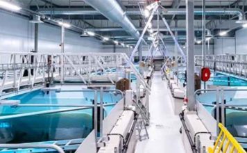 Alemania | Acuicultura de recirculación: la tecnología que busca abrir nuevas oportunidades para producir peces, camarones y algas Inhouse Farming – Feed & Food Show 2026 Alemania | Acuicultura de recirculación: la tecnología que busca abrir nuevas oportunidades para producir peces, camarones y algas Inhouse Farming – Feed & Food Show 2026