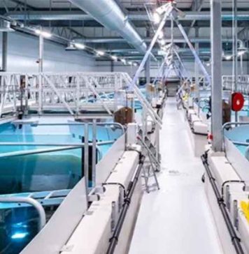 Alemania | Acuicultura de recirculación: la tecnología que busca abrir nuevas oportunidades para producir peces, camarones y algas Inhouse Farming – Feed & Food Show 2026