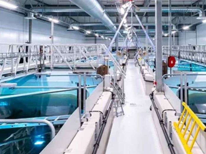 Alemania | Acuicultura de recirculación: la tecnología que busca abrir nuevas oportunidades para producir peces, camarones y algas Inhouse Farming – Feed & Food Show 2026