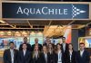 AquaChile proyectó ventas superiores a US $300 millones en Brasil para 2026 AquaChile proyectó ventas superiores a US $300 millones en Brasil para 2026