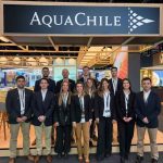 AquaChile proyectó ventas superiores a US $300 millones en Brasil para 2026 AquaChile proyectó ventas superiores a US $300 millones en Brasil para 2026