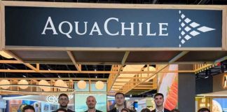 AquaChile proyectó ventas superiores a US $300 millones en Brasil para 2026 AquaChile proyectó ventas superiores a US $300 millones en Brasil para 2026