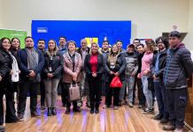 Autoridades y expertos abordan la prevención de la silicosis en seminario organizado por la Dirección del Trabajo de Ñuble