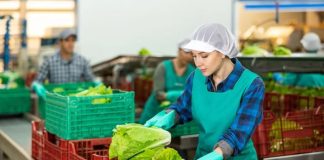 Cómo alimentar a Latinoamérica sin agotar el agua Tres claves para producir más con menos