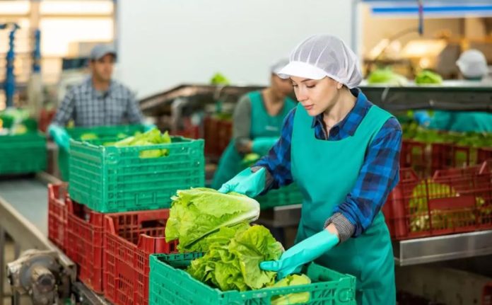 Cómo alimentar a Latinoamérica sin agotar el agua Tres claves para producir más con menos