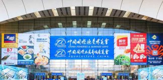 Cuatro empresas de Los Lagos llevarán su oferta exportadora a China Fisheries & Seafood Expo 2026 Cuatro empresas de Los Lagos llevarán su oferta exportadora a China Fisheries & Seafood Expo 2026