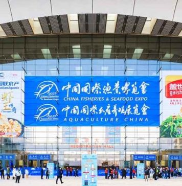 Cuatro empresas de Los Lagos llevarán su oferta exportadora a China Fisheries & Seafood Expo 2026