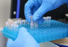 De 0,53% a 0,35% del PIB: el desafío de fortalecer la ciencia en Chile De 0,53% a 0,35% del PIB el desafío de fortalecer la ciencia en Chile