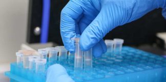 De 0,53% a 0,35% del PIB el desafío de fortalecer la ciencia en Chile
