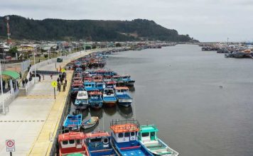 Dos proyectos fortalecerán la infraestructura del puerto pesquero artesanal de Lebu, el más grande de Chile