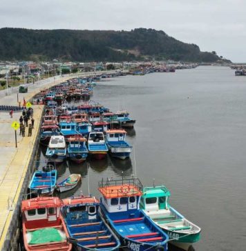 Dos proyectos fortalecerán la infraestructura del puerto pesquero artesanal de Lebu, el más grande de Chile Dos proyectos fortalecerán la infraestructura del puerto pesquero artesanal de Lebu, el más grande de Chile