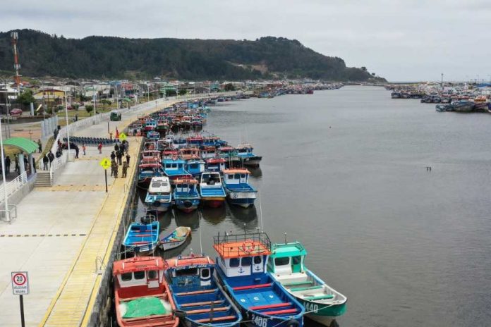 Dos proyectos fortalecerán la infraestructura del puerto pesquero artesanal de Lebu, el más grande de Chile