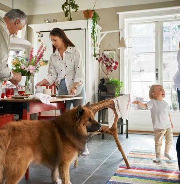 Estudio IKEA revela que el 77% de los chilenos acumula objetos que no sabe dónde guardar en su hogar Estudio IKEA revela que el 77% de los chilenos acumula objetos que no sabe dónde guardar en su hogar