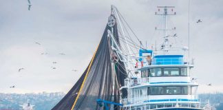 Estudio analizó beneficios y riesgos del comercio mundial de productos del mar