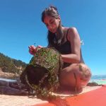 Estudio revela que el ruido de embarcaciones puede favorecer el asentamiento de especies marinas invasoras