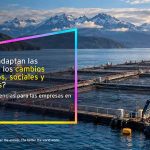 Reportaje | Estudio de EY presentado junto al Consejo del Salmón identifica productividad, innovación e IA como claves para la competitividad hacia 2029 Reportaje | Estudio de EY presentado junto al Consejo del Salmón identifica productividad, innovación e IA como claves para la competitividad hacia 2029