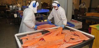 Exportaciones no cobre no litio de Los Lagos superan los US$5.250 millones a septiembre Exportaciones no cobre no litio de Los Lagos superan los US$5.250 millones a septiembre