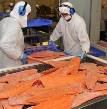 Exportaciones no cobre no litio de Los Lagos superan los US$5.250 millones a septiembre Exportaciones no cobre no litio de Los Lagos superan los US$5.250 millones a septiembre