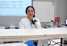 Reportaje | Floraciones Algales Nocivas: los desafíos de la vigilancia y prevención ante la amenaza de marea roja en Chile Floraciones Algales Nocivas: los desafíos de la vigilancia y prevención ante la amenaza de marea roja en Chile