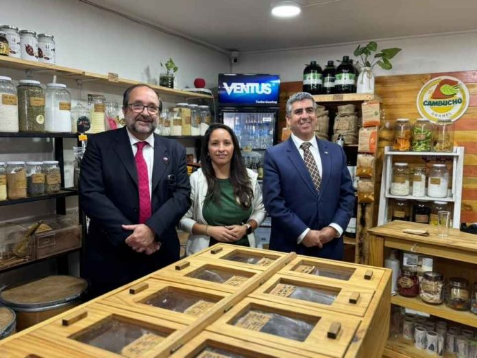 Más de 40 actividades marcarán la Semana de la Pyme en la Región de Coquimbo