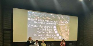Meta 2030: Chile y California cruzan experiencias sobre cómo financiar y gestionar sus parques nacionales y áreas protegidas 