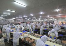 Nuevas exigencias y tecnologías están cambiando la forma de producir y controlar los alimentos Nuevas exigencias y tecnologías están cambiando la forma de producir y controlar los alimentos