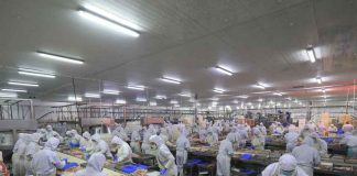 Nuevas exigencias y tecnologías están cambiando la forma de producir y controlar los alimentos
