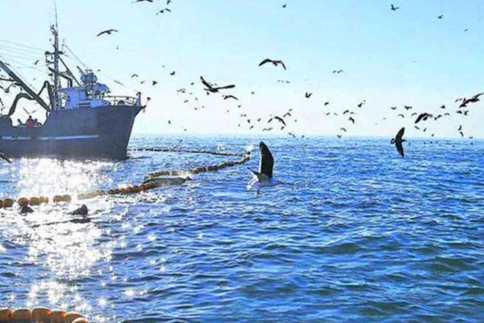 Pesca Industrial Proteger el mar y potenciar el empleo Personal Embarcado Industrial del Biobío llama a compatibilizar conservación y actividad pesquera Pesca Industrial Proteger el mar y potenciar el empleo Personal Embarcado Industrial del Biobío llama a compatibilizar conservación y actividad pesquera
