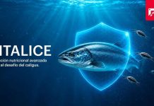 Salmofood presenta vitalice, una alternativa natural contra la Caligidosis