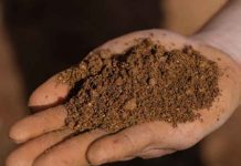 Seis organismos públicos respaldan evaluación ambiental de proyecto de tierras raras en Penco