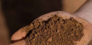 Seis organismos públicos respaldan evaluación ambiental de proyecto de tierras raras en Penco
