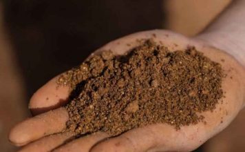 Seis organismos públicos respaldan evaluación ambiental de proyecto de tierras raras en Penco Seis organismos públicos respaldan evaluación ambiental de proyecto de tierras raras en Penco