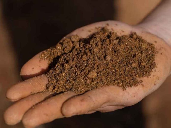 Seis organismos públicos respaldan evaluación ambiental de proyecto de tierras raras en Penco