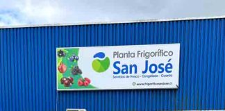 Seremi del Trabajo visita Frigorífico San José tras adjudicación de 27 subsidios a la contratación