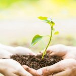 UCT ofrece curso gratuito y certificado sobre sustentabilidad y cambio climático