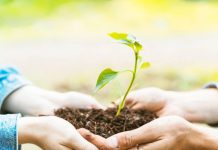 UCT ofrece curso gratuito y certificado sobre sustentabilidad y cambio climático