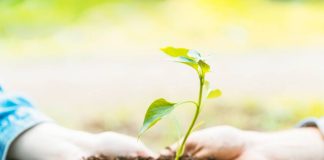 UCT ofrece curso gratuito y certificado sobre sustentabilidad y cambio climático