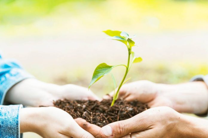 UCT ofrece curso gratuito y certificado sobre sustentabilidad y cambio climático