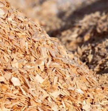 PulpIQ: la tecnología que usa datos en tiempo real para reducir la variabilidad en el lavado de pulpa y permite ahorros de agua, costos y energía