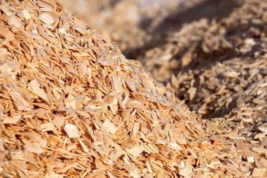 madera PulpIQ: la tecnología que usa datos en tiempo real para reducir la variabilidad en el lavado de pulpa y permite ahorros de agua, costos y energía